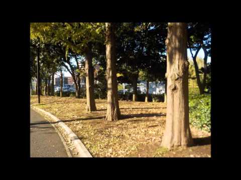 35. Waikiki / Ukulele Solo