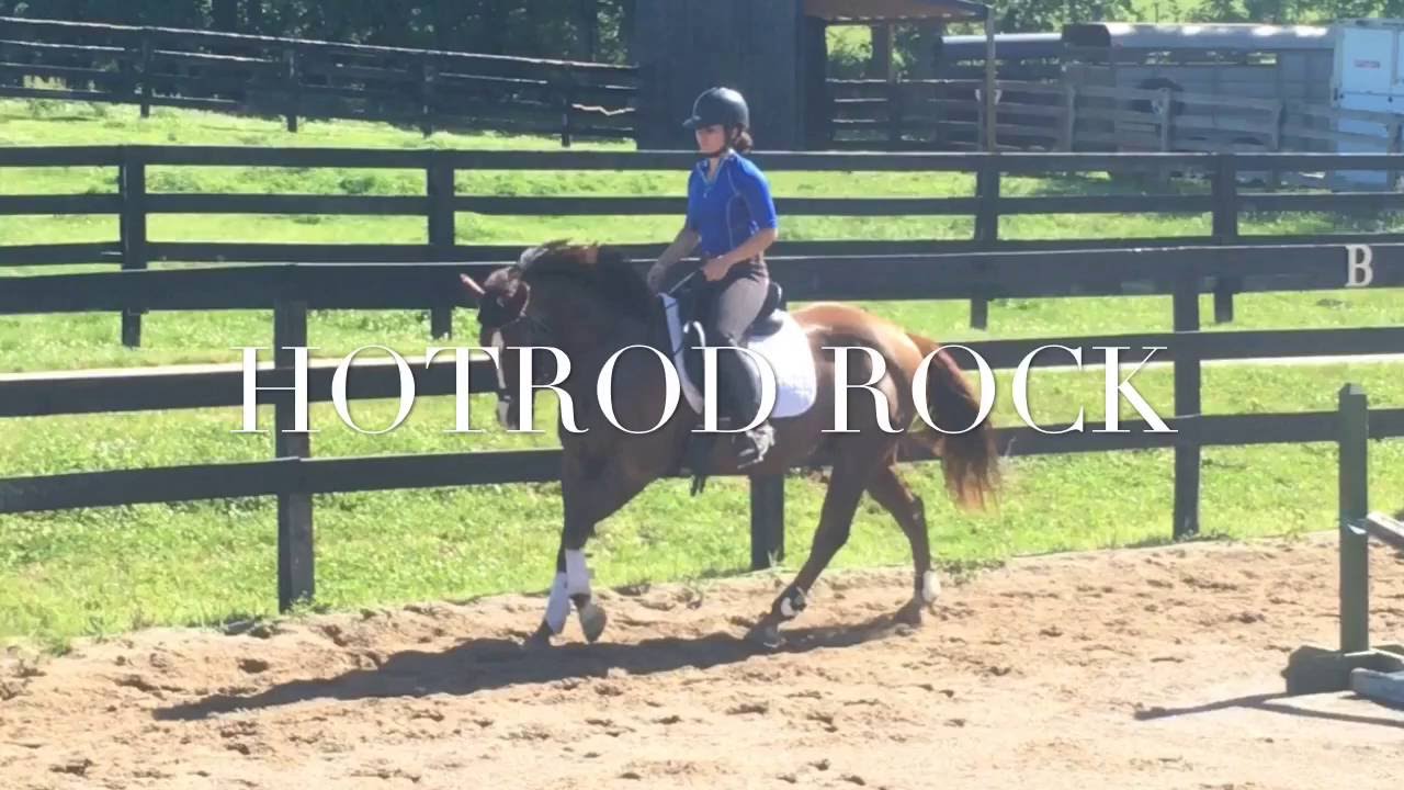 Sold!! HOTROD ROCK Awesome Versatile AQHA Gelding YouTube