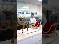 Chocolate Reindeer Getting Ready For Christmas Deliveries 