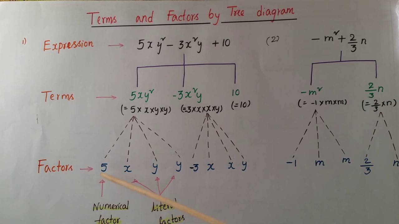 Algebra Pictures Tree