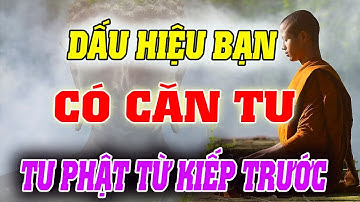 Dấu Hiệu Người Có CĂN TU, Đã Tu Phật Từ Kiếp Trước - Sớm Biết Đường Giác Ngộ !