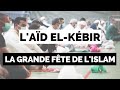 On vous dit tout sur lad elkebir 