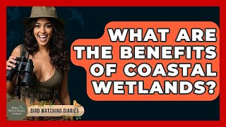 What Are The Benefits Of Coastal Wetlands? - Bird Watching Diaries