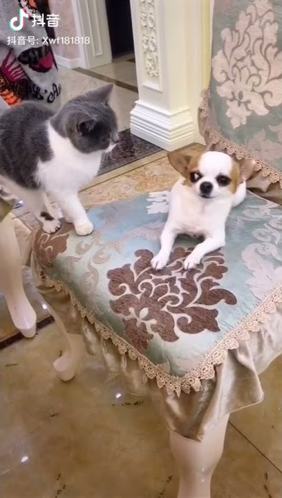 d7d869344145abefab059a9ac9744730