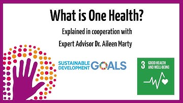 What is One Health?