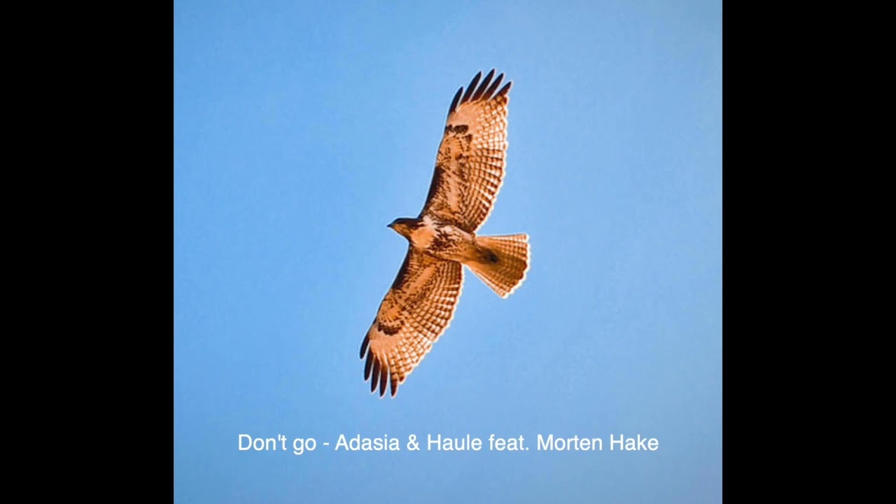 Don't go - Adasia & Haule feat. Morten Hake