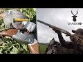 Ouverture 2017  chasse du pigeon aux formes  chasse