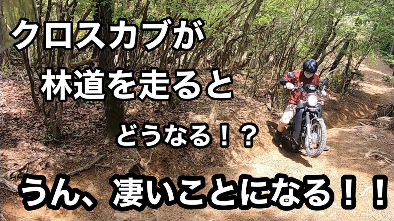 《クロスカブ × 林道》世界中のカブ乗りに勇気と希望を与えたい。