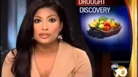 KGTV - Discovery may help protect crops from stressors - Joseph R. Ecker - Salk News Clip