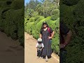 Deewana Deewana main Tera... 😍🧿 #ooty #trandingshorts #dailylife #tamilnadu #coimbatore #shortvideo