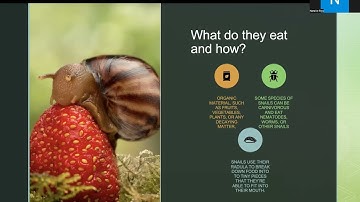 BIOL 112 LAB 7 presentation