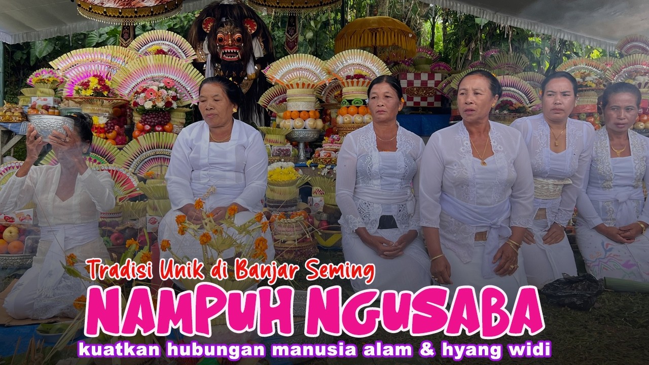 Tradisi Unik Ada Tari Rejang & Tari Baris Desa di Banjar Seming - Upacara Nampuh Ngusaba
