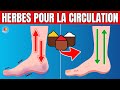 10 herbes qui amlioreront la circulationdes jambes et des pieds