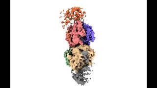 Multi-protein human MAT enzyme complexes