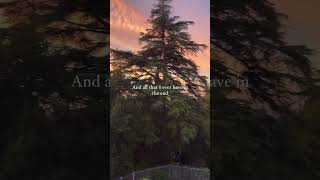 Apologize To Allah Subhana Watala 