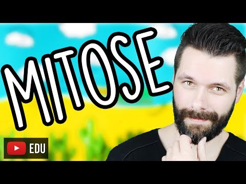 Vídeo: A mitose pode ocorrer sem citocinese?