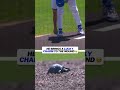 Nothing like a little luck on the mound 🦕 (h/t: michellachester)