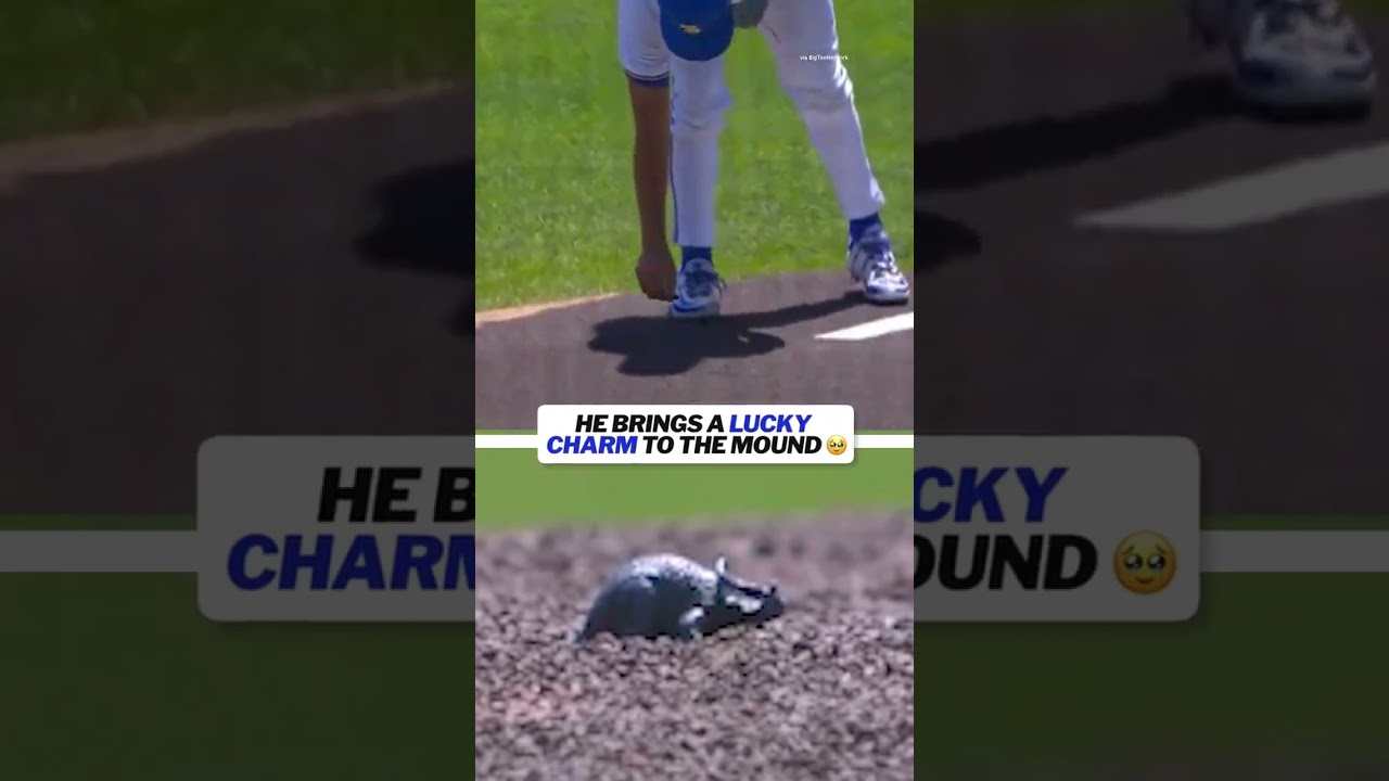 Nothing like a little luck on the mound 🦕 (h/t: michellachester)