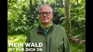 Mit Untertitel: Gemeinschaftlich für Nachhaltigkeit im Wald | Mein Wald ist für Dich da | Meerdorf