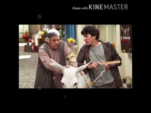 لاتركب على المطي مسلسل اكبر جذاب