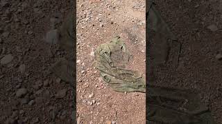 Old Green Towel