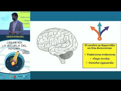 Congreso AMEI - Neurociencias: gestión emocional y aprendizaje
