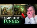 I built a COMPETITIVE... FUNGUS DECK?! 🍄 MTG Arena Standard Ranked