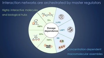 BioEssays: RNA-protein Interactions: Central players in Coordination of Regulatory Networks
