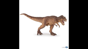 T rex || 3D model of Tyrannosaurus , running on ground 3 || HD