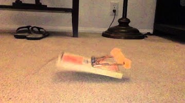 Slow mo Rat Trap Test