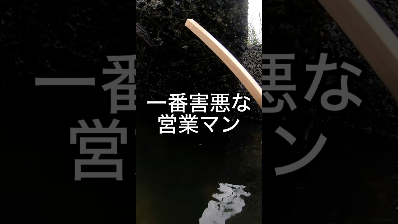 迷惑な訪問者 #釣り