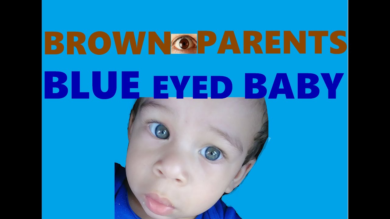 Brown eyed parents, Blue eyed baby?!?!?! - YouTube