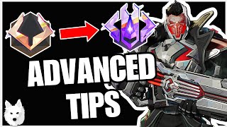 The BEST Advanced Punisher Guide