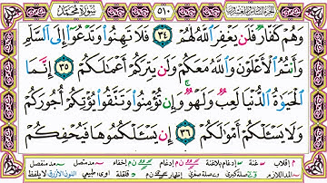 ألقران الكريم حاتم فريد الواعر الصفحة 510