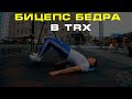 СГИБАНИЯ НОГ ЛЕЖА В ПЕТЛЯХ TRX