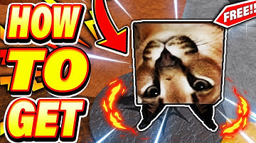 How To Get UPSIDE DOWN FLOPPA In Roblox Find The Floppa Morphs