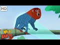 Exploring the Rainforest and Its Wonders