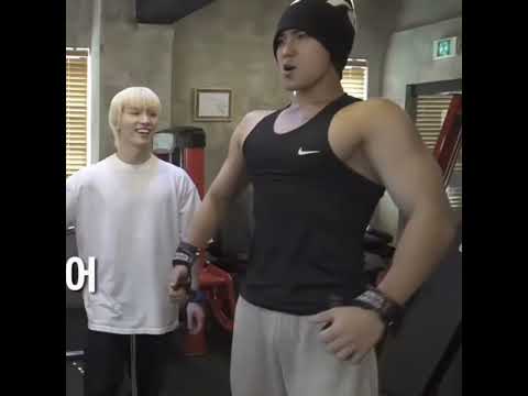 dino at back