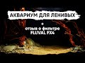 Аквариум для ленивых и отзыв о внешнем фильтре Fluval FX4 после запуска