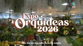 EXPO ORQUIDEAS
