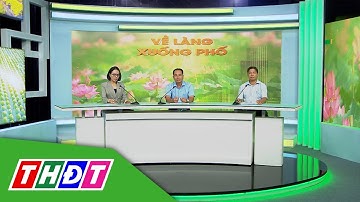 Tìm lợi nhuận bền vững cùng cây lúa | Về làng xuống phố - 1/7/2024 | THDT