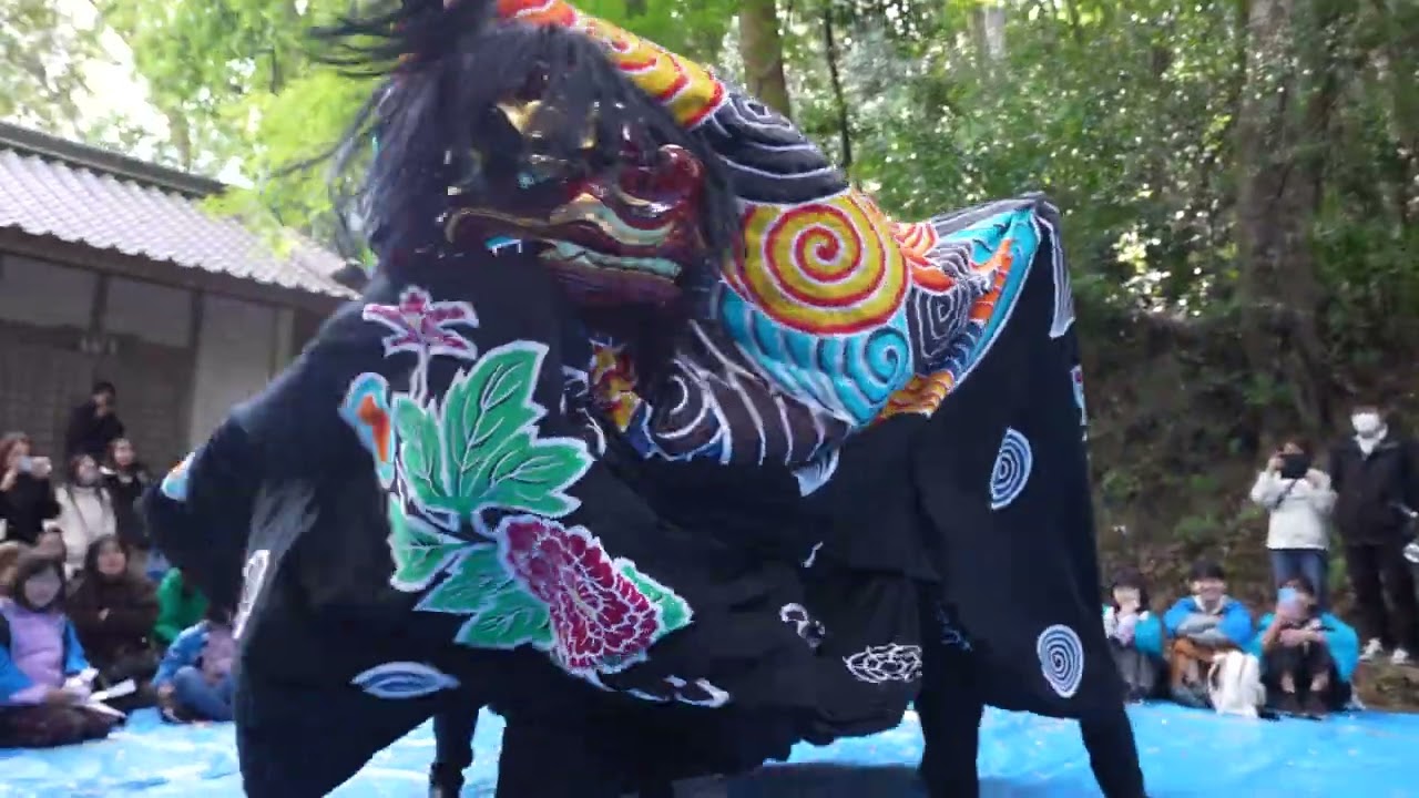 獅子舞い 岡の獅子舞田楽 2024/11/23, 和歌山県西牟婁郡富田町 - YouTube