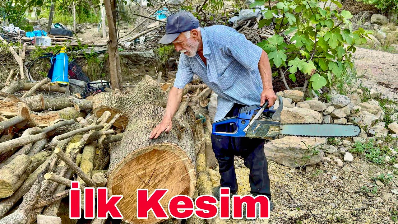 Neşet Dedemin Hyundai 450 Motorlu Testeresi İle Sezonun İlk Kesimini Yaptık !