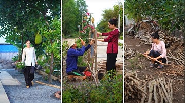 Rủ Cả Nhà Cải Tạo Một Góc Sân Vườn, Làm Thêm Một Hàng Rào Hoa | Út Về Vườn