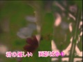 夢のような虹のような 山城さくら オリジナル