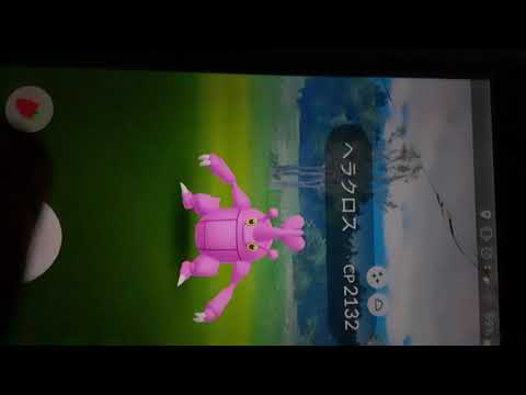 ヘラクロス色違い2体目 メス Youtube