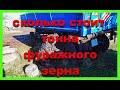 Сколько стоит телега фуражного  зерна в соседней деревне ...