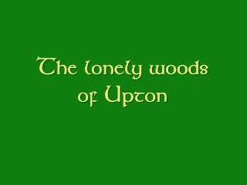The lonely woods of Upton