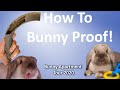 How To Bunny Proof | Bunny Apartment Tour 2020 | My House of Tiny Pets Tutorial