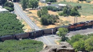 BNSF Coal Train- Maryhill, WA